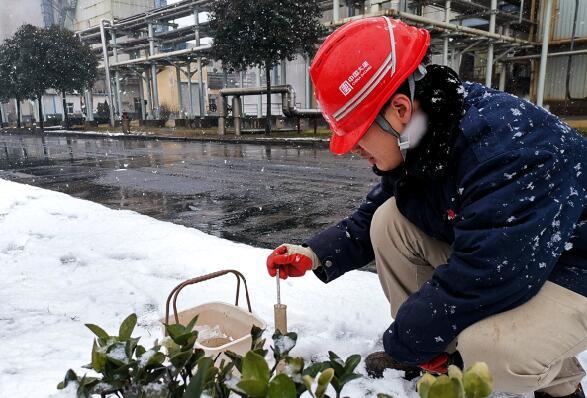 大唐環(huán)境特許經(jīng)營分公司積極應(yīng)對低溫雨雪冰凍災(zāi)害