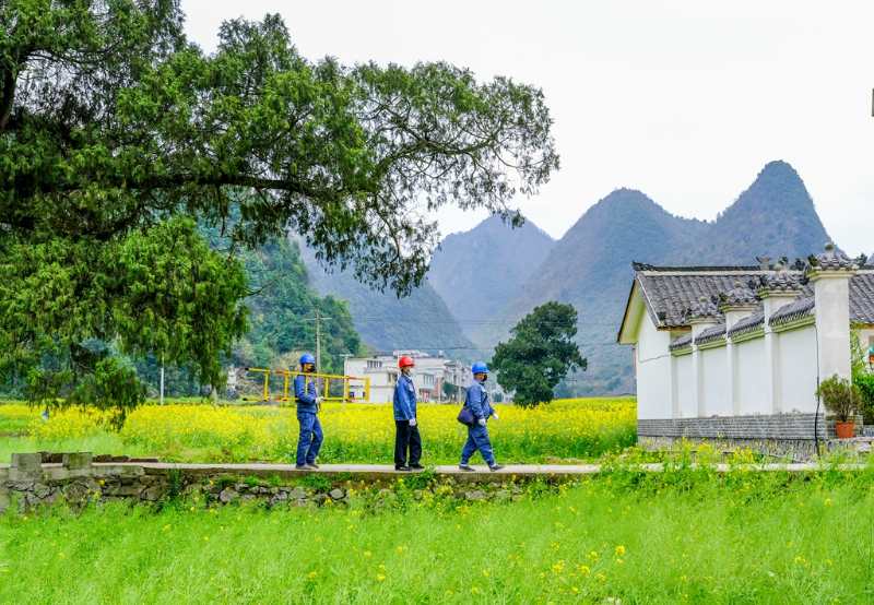 平塘供電局：“網(wǎng)格化”服務，護航“菜籃子”