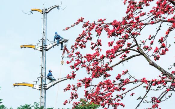 保底電網建設開啟“加速度”