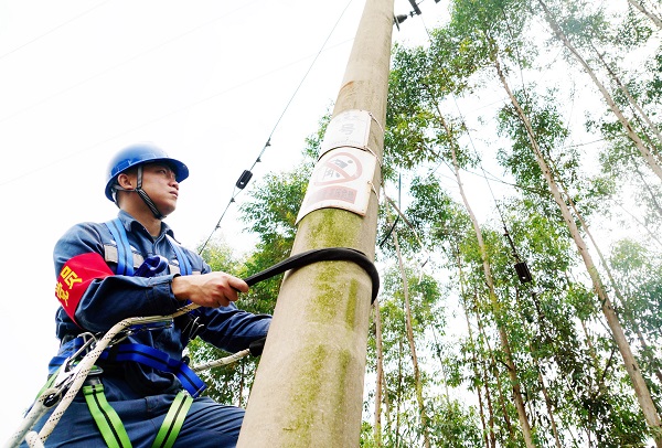 南方電網廣西柳州柳城供電局：匠心青年 農電堅“石”