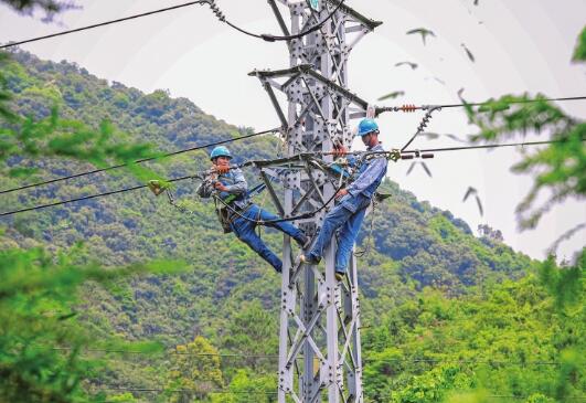 廣東電網(wǎng)肇慶供電局對159條故障高發(fā)線路開展全面改造升級(jí)專項(xiàng)行動(dòng)