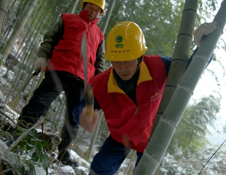 國網余姚市供電公司：入冬雪來襲 逆行保供電