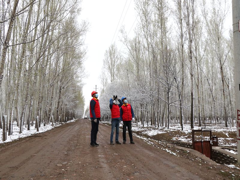 國(guó)網(wǎng)伊犁伊河供電公司四月飛雪，電力員工巡視線路保供電