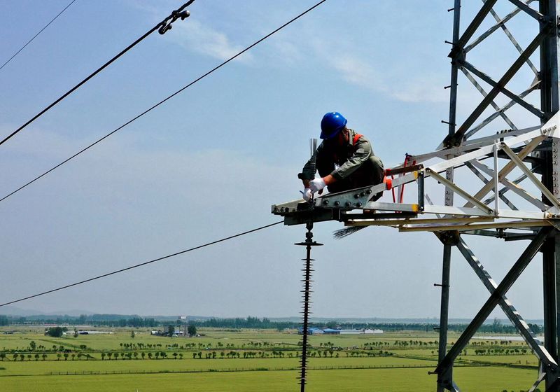 國網江蘇電力睢寧縣供電公司：“防鳥刺”護航保電網安全度夏