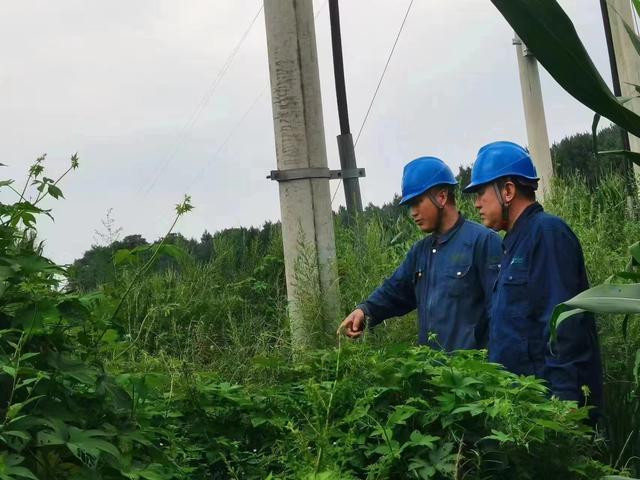 國網(wǎng)長春供電公司積極應對極端天氣，確保線路設備穩(wěn)定運行