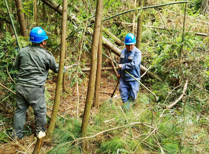 南方電網(wǎng)荔波供電局線路憂患如“猛獸”，通道清通要爭先