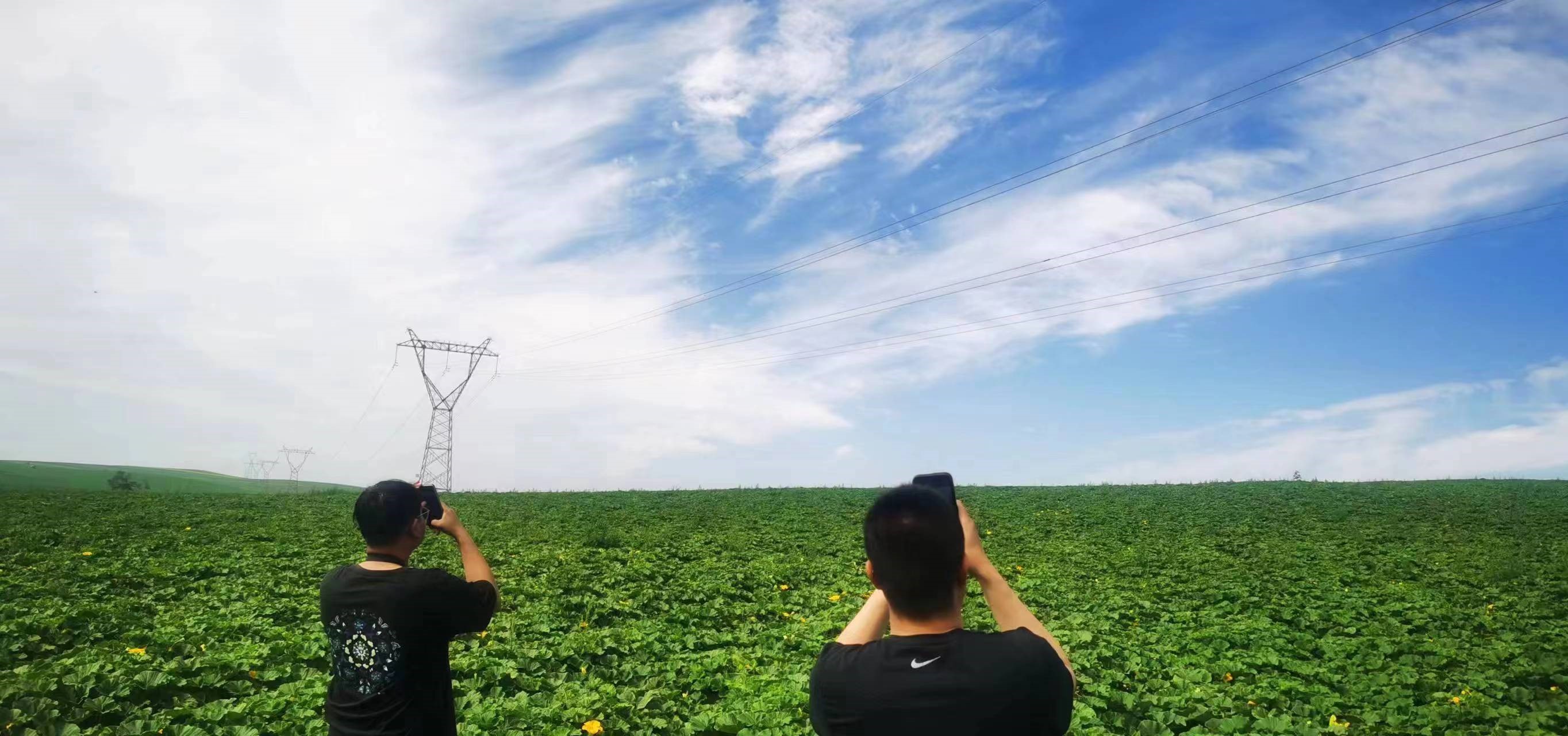 四子王輸變電管理處：防外力破壞，助安全運行