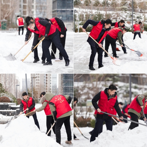 白雪更映“志愿紅”，山東電建公司志愿者掃雪除冰在行動