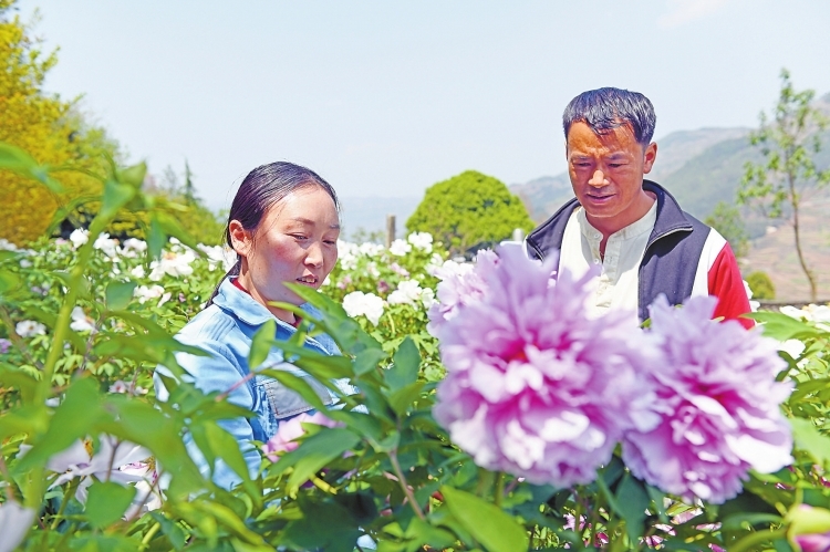 項(xiàng)利萍：七年駐村路 哭過(guò)笑過(guò)從沒(méi)放棄過(guò)