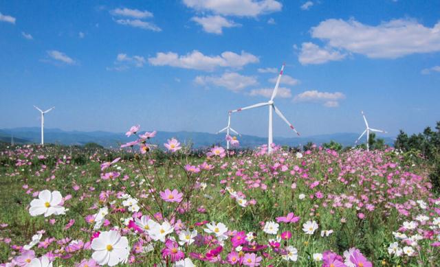 中廣核在滇繪制清潔能源高質(zhì)量發(fā)展新圖景