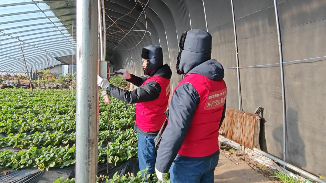 國網扎魯特旗供電公司 電力助農行動ing 護航果蔬大棚溫暖過冬