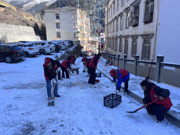 挺膺擔當志愿服務，清冰除雪保障安全