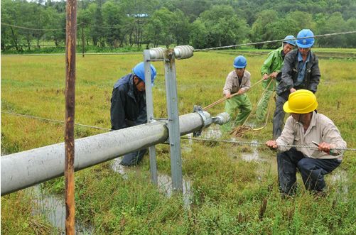 建陽(yáng)市供電公司冒雨快速搶修倒桿 